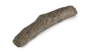 Peterson 17" OAK BRANCH