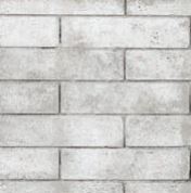 Empire 42" Breckenridge Deluxe Louvered Front Circulating Firebox with Refractory Liner
